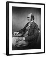 Charles Darwin (Engraving)-Maull & Fox-Framed Giclee Print