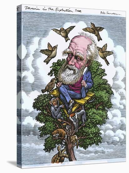 Charles Darwin In His Evolutionary Tree-Bill Sanderson-Stretched Canvas