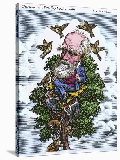 Charles Darwin In His Evolutionary Tree-Bill Sanderson-Stretched Canvas