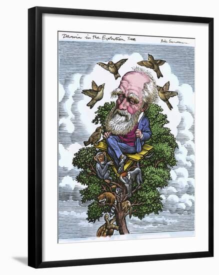 Charles Darwin In His Evolutionary Tree-Bill Sanderson-Framed Photographic Print