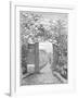 Charles Darwin in the Sand Walk at Down House, C1870-null-Framed Giclee Print