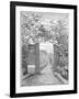 Charles Darwin in the Sand Walk at Down House, C1870-null-Framed Giclee Print