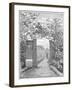 Charles Darwin in the Sand Walk at Down House, C1870-null-Framed Giclee Print