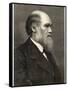 Charles Darwin Naturalist-null-Framed Stretched Canvas