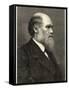Charles Darwin Naturalist-null-Framed Stretched Canvas