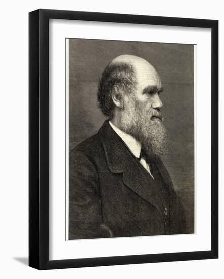 Charles Darwin Naturalist-null-Framed Photographic Print