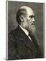 Charles Darwin Naturalist-null-Mounted Photographic Print