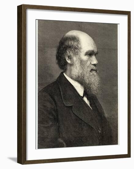 Charles Darwin Naturalist-null-Framed Photographic Print