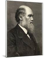 Charles Darwin Naturalist-null-Mounted Photographic Print