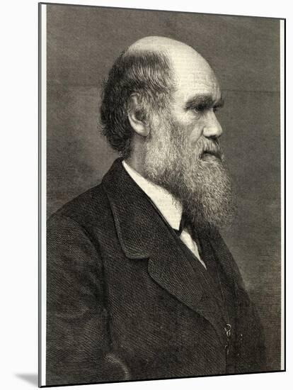 Charles Darwin Naturalist-null-Mounted Photographic Print