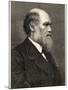 Charles Darwin Naturalist-null-Mounted Photographic Print