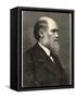 Charles Darwin Naturalist-null-Framed Stretched Canvas