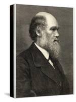 Charles Darwin Naturalist-null-Stretched Canvas