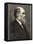 Charles Darwin Naturalist-null-Framed Stretched Canvas