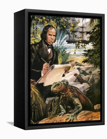 Charles Darwin on the Galapagos Islands-Andrew Howat-Framed Stretched Canvas