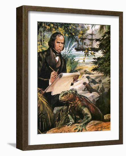 Charles Darwin on the Galapagos Islands-Andrew Howat-Framed Giclee Print