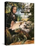 Charles Darwin on the Galapagos Islands-Andrew Howat-Stretched Canvas