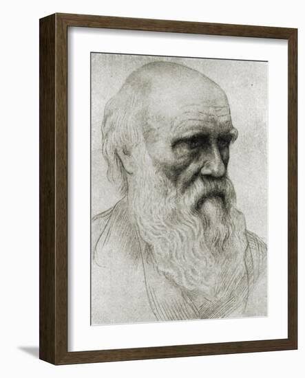 Charles Darwin - portrait-Alphonse Legros-Framed Giclee Print