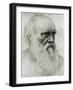 Charles Darwin - portrait-Alphonse Legros-Framed Giclee Print