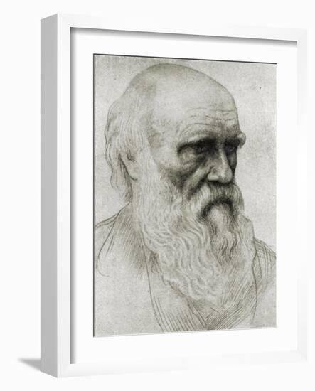 Charles Darwin - portrait-Alphonse Legros-Framed Giclee Print