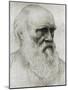 Charles Darwin - portrait-Alphonse Legros-Mounted Giclee Print