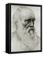 Charles Darwin - portrait-Alphonse Legros-Framed Stretched Canvas