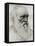 Charles Darwin - portrait-Alphonse Legros-Framed Stretched Canvas