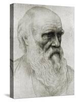 Charles Darwin - portrait-Alphonse Legros-Stretched Canvas