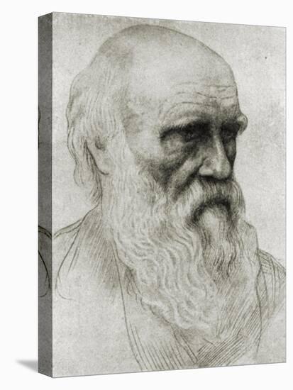 Charles Darwin - portrait-Alphonse Legros-Stretched Canvas