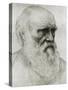Charles Darwin - portrait-Alphonse Legros-Stretched Canvas
