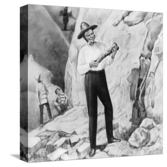 Stretched Canvas Print, , large