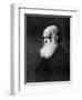 Charles Darwin, Print After the Painting by W.W. Ouless, from The History of the Nation-Walter William Ouless-Framed Giclee Print