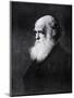 Charles Darwin, Print After the Painting by W.W. Ouless, from The History of the Nation-Walter William Ouless-Mounted Giclee Print