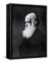 Charles Darwin, Print After the Painting by W.W. Ouless, from The History of the Nation-Walter William Ouless-Framed Stretched Canvas