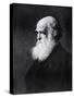 Charles Darwin, Print After the Painting by W.W. Ouless, from The History of the Nation-Walter William Ouless-Stretched Canvas