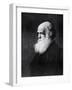 Charles Darwin, Print After the Painting by W.W. Ouless, from The History of the Nation-Walter William Ouless-Framed Giclee Print