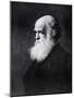 Charles Darwin, Print After the Painting by W.W. Ouless, from The History of the Nation-Walter William Ouless-Mounted Giclee Print