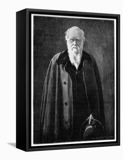 Charles Darwin, Renowned Naturalist and Thinker-John Collier-Framed Stretched Canvas