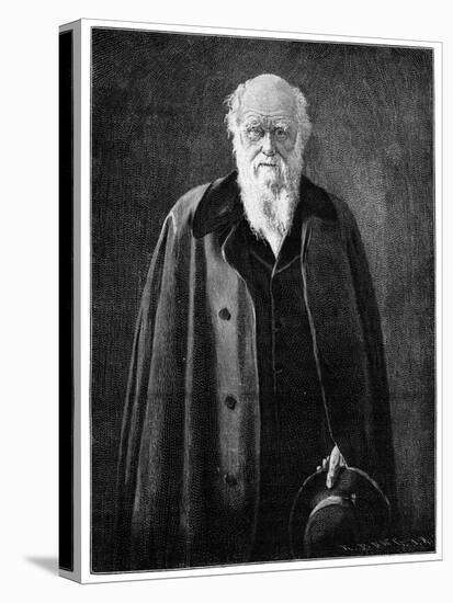 Charles Darwin, Renowned Naturalist and Thinker-John Collier-Stretched Canvas
