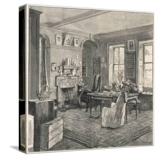 Stretched Canvas Print, , large