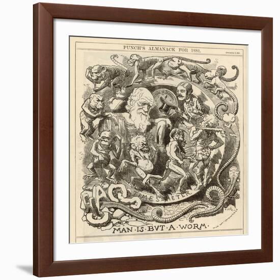 Charles Darwin Satire: Man is But a Worm-null-Framed Photographic Print