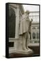 Charles Darwin Statue at Sefton Park Palm House-Michael Nicholson-Framed Stretched Canvas