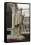 Charles Darwin Statue at Sefton Park Palm House-Michael Nicholson-Framed Stretched Canvas