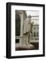 Charles Darwin Statue at Sefton Park Palm House-Michael Nicholson-Framed Photographic Print