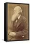 Charles Darwin-null-Framed Stretched Canvas