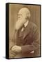 Charles Darwin-null-Framed Stretched Canvas