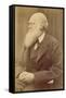 Charles Darwin-null-Framed Stretched Canvas