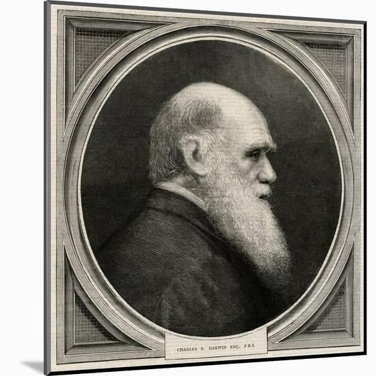 Charles Darwin-null-Mounted Art Print