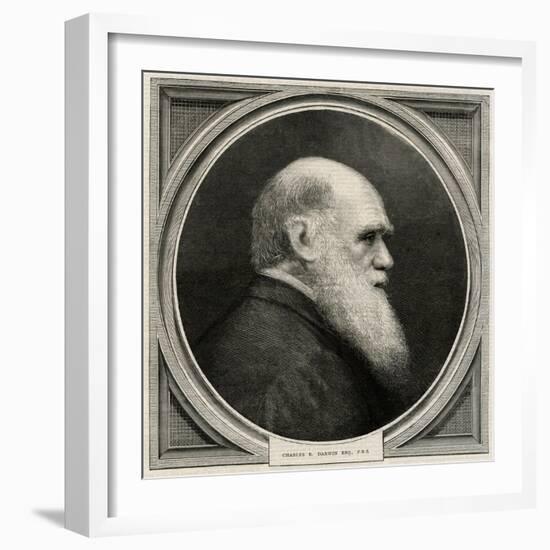 Charles Darwin-null-Framed Art Print