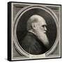 Charles Darwin-null-Framed Stretched Canvas